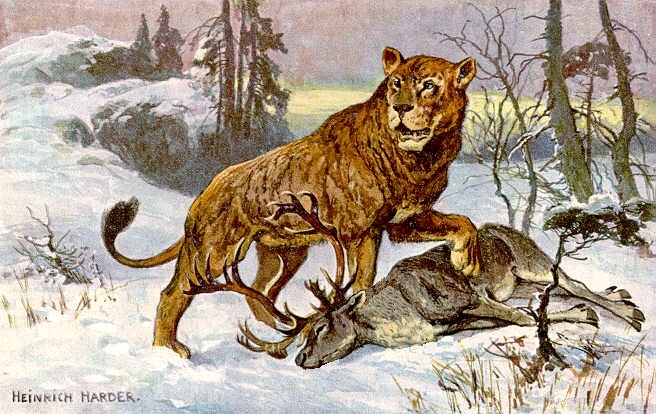 How 10,000-Year-Old Cave Lion Cubs Helped Me Thaw Out My Own Creativity